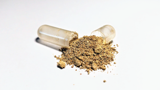 A Comprehensive Guide to Ashwagandha
